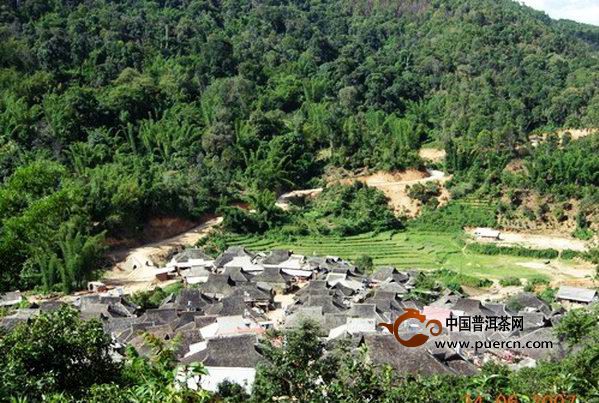 【山頭起義】普洱十八山頭之南糯山