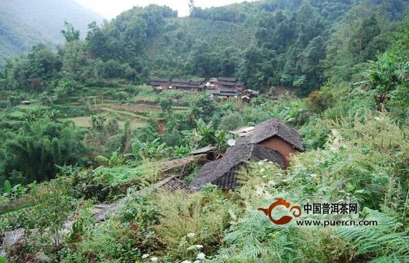 景谷南板村介紹--普洱茶產(chǎn)地