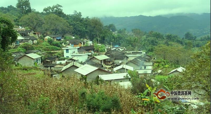 小寨自然村概述--普洱茶產(chǎn)地