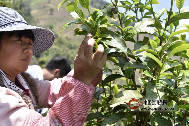 3月29日，尋找真正的冰島味第二季正式開采啦！