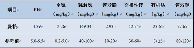 【下關(guān)沱茶】悠悠歲月，漫漫茶香——倚邦茶山