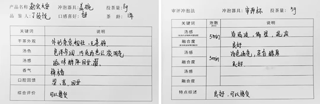 書院熟茶千堆第41期，發(fā)酵程度輕，會(huì)呈現(xiàn)怎樣的口感？