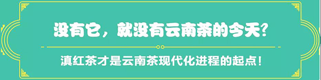 吉普號茶山黑話178：62年前，這里的茶竟被拍賣出世界最高價？