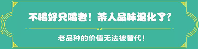 茶山黑話181：剛出老茶坑，又入老品種坑？茶圈套路這么深？