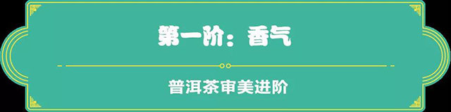 吉普號茶山黑話183：從茶小白到老司機，普洱茶審美四步進階