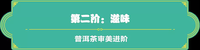 吉普號茶山黑話183：從茶小白到老司機，普洱茶審美四步進階