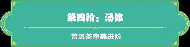 吉普號茶山黑話183：從茶小白到老司機，普洱茶審美四步進階