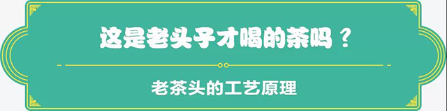 吉普號(hào)茶山黑話186期：從邊角料到茶珍品，老茶頭靠什么逆襲翻盤？